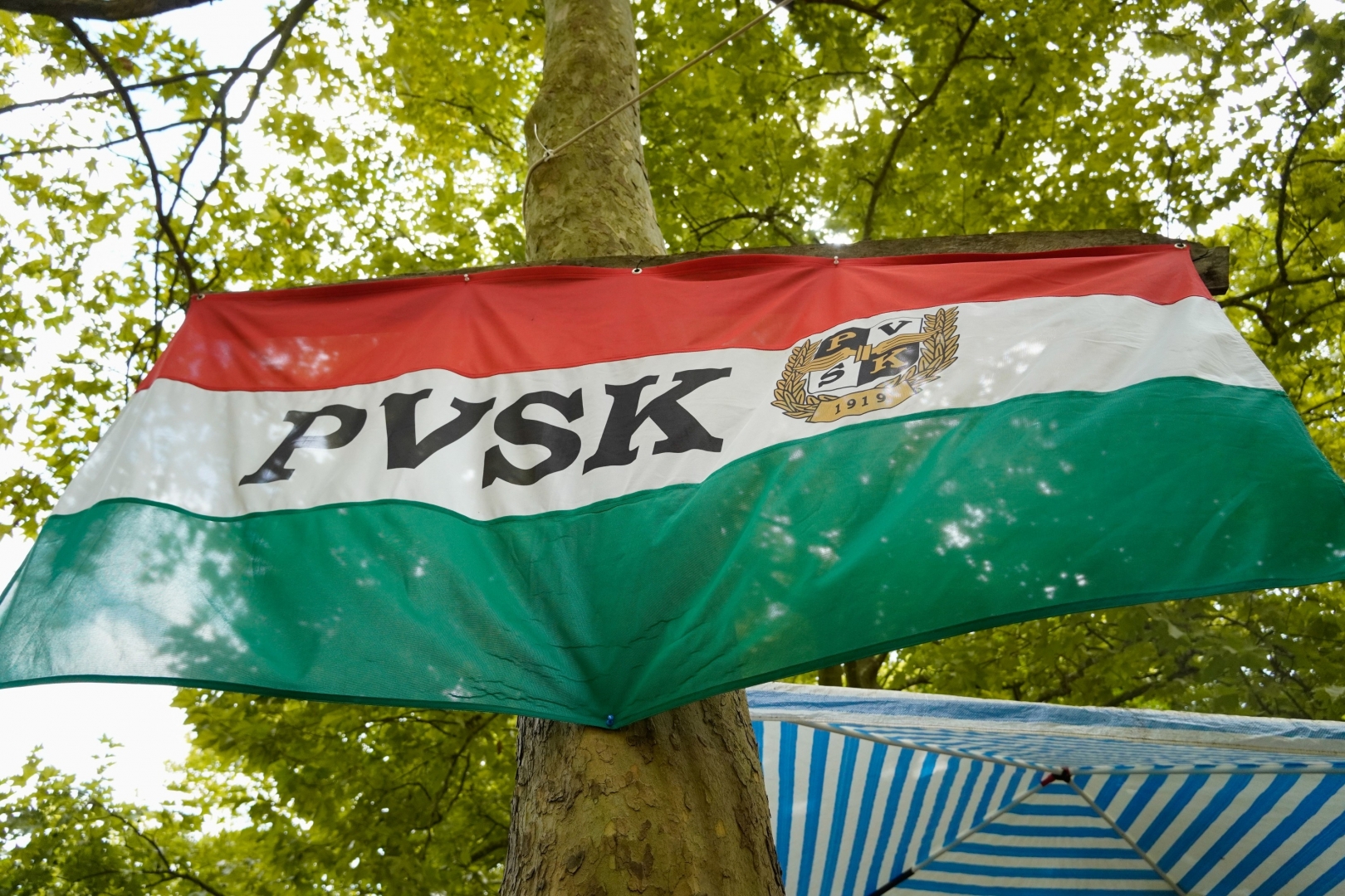 Kersics Dávid cselgáncs edzővel, a 2023-as évet értékeltük | Pécsi ...