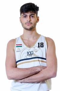 Armaghani Ármin