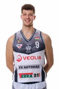 Werner Viktor
