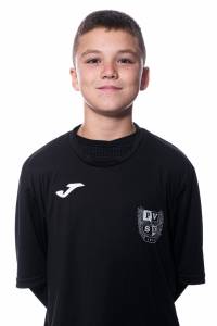 Vörös-Brozovics Milán